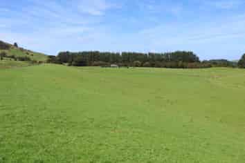 98 Millstream Road, Dannevirke