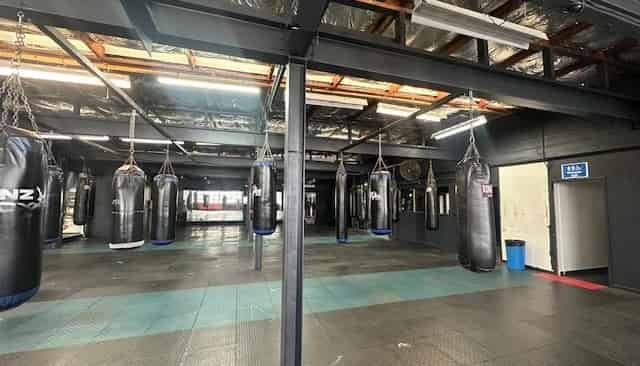  3 - 5 Rendall Place, Eden Terrace