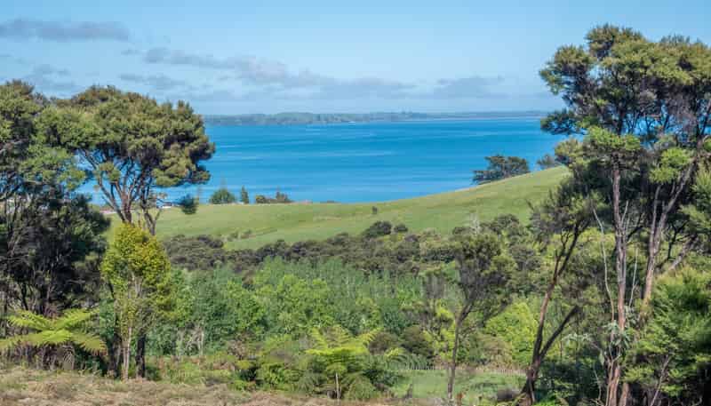 458F Hihi Road, Hihi