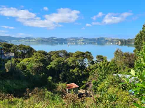 515 Wyuna Bay Road, Coromandel