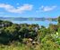 515 Wyuna Bay Road, Coromandel, Thames-Coromandel, Coromandel