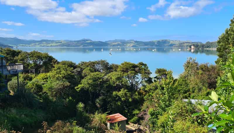 515 Wyuna Bay Road, Coromandel