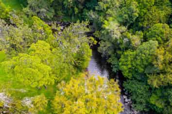 838 Mangorei Road, MANGOREI