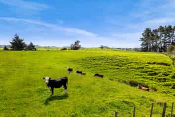 838 Mangorei Road, MANGOREI