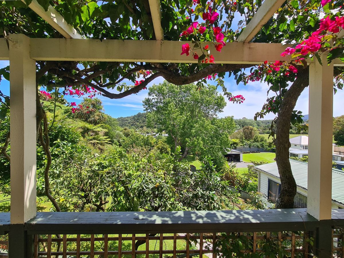 THE HIDDEN GARDEN, Coromandel
