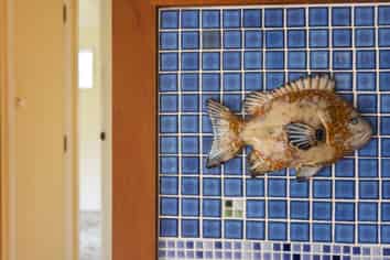 8 Estuary Street, Makara Beach