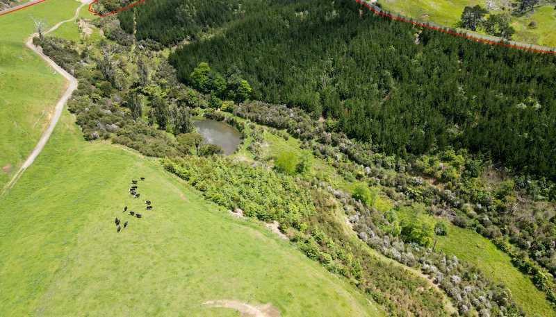 241 Work Road, Aongatete