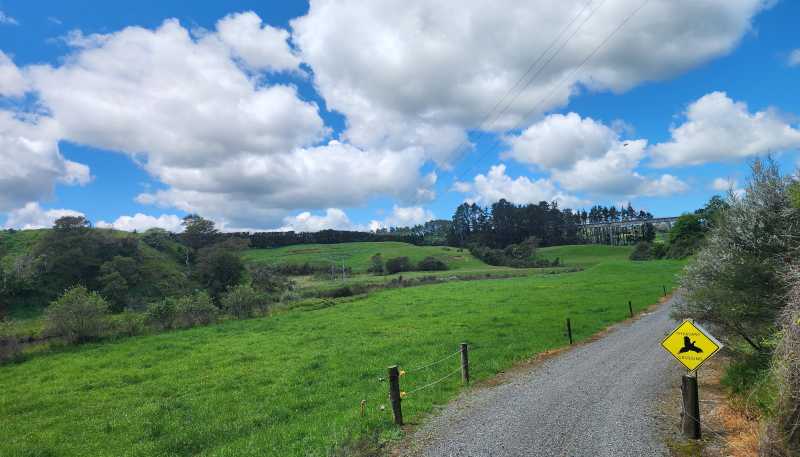 241 Work Road, Aongatete
