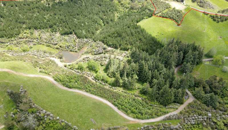 241 Work Road, Aongatete