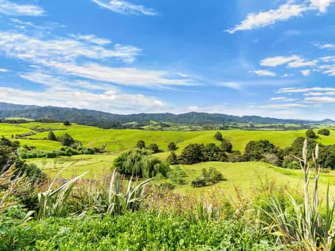 470 Tara Road, Mangawhai