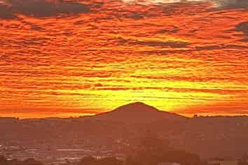 34 Murano  Street, Waverley