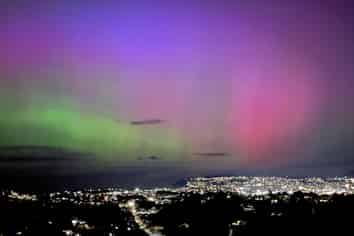 34 Murano  Street, Waverley