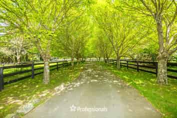 118 Colletts Road, Mangaroa