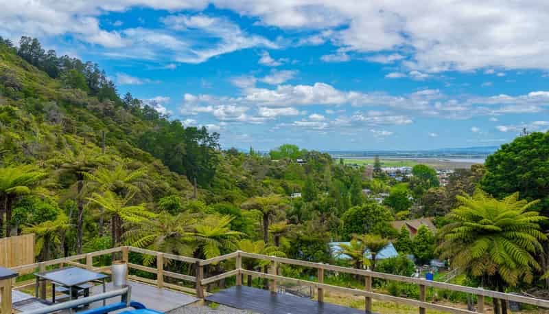 113 Collarbone Road, Thames