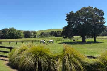 145A Port Marsden Highway, Ruakaka