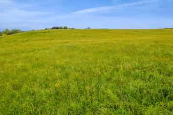 0n Turuturu Road, RD 14, Hawera
