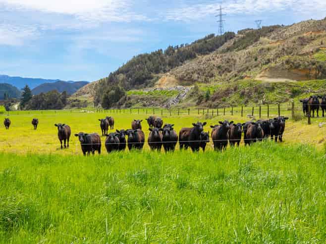 115 Howard Valley Road, St Arnaud