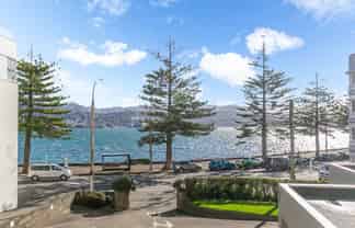 1D/274 Oriental Parade, Oriental Bay