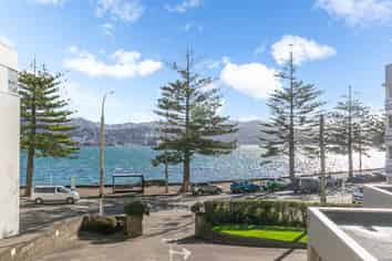 1D/274 Oriental Parade, Oriental Bay
