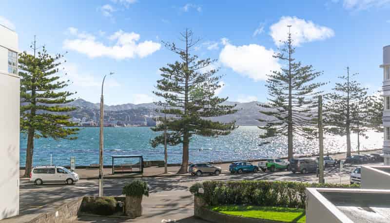 1D/274 Oriental Parade, Oriental Bay