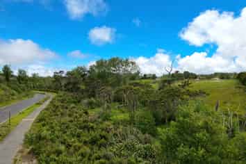 169 Te Taruna Drive, Milldale