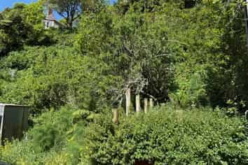 45A Holloway Road, Aro Valley