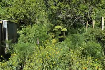 45A Holloway Road, Aro Valley