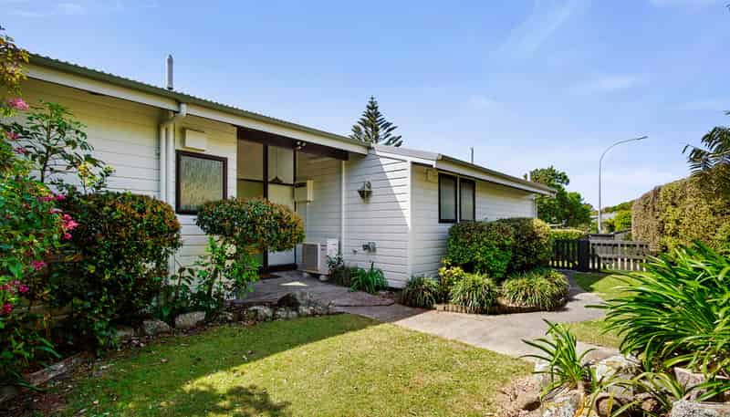 19 Carluke Street, Paparangi