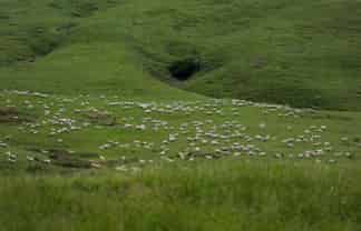 463 Waihi Valley Rd, Dannevirke