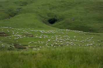 463 Waihi Valley Rd, Dannevirke