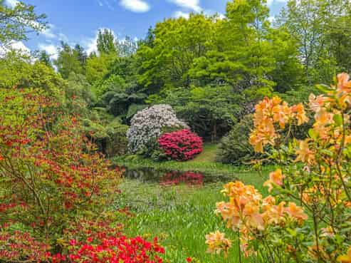 42 Haggerty Street, Kimbolton