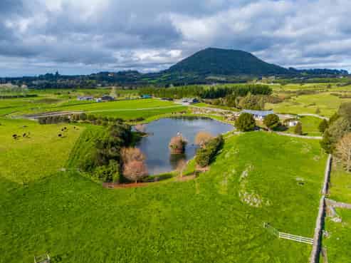 208 Tatton Road, Maungatapere