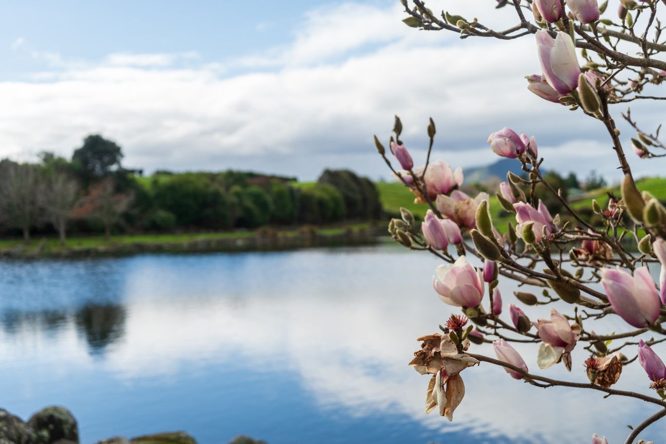The lake, land and lifestyle - Ansicht 6