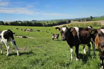 58 Blackhill Road, Chatton