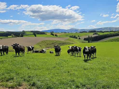 406 Byars Road, Chatton North