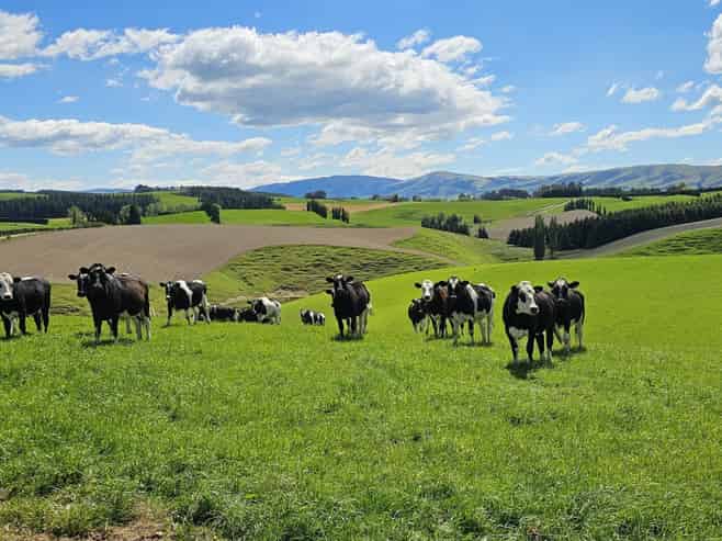 406 Byars Road, Chatton North