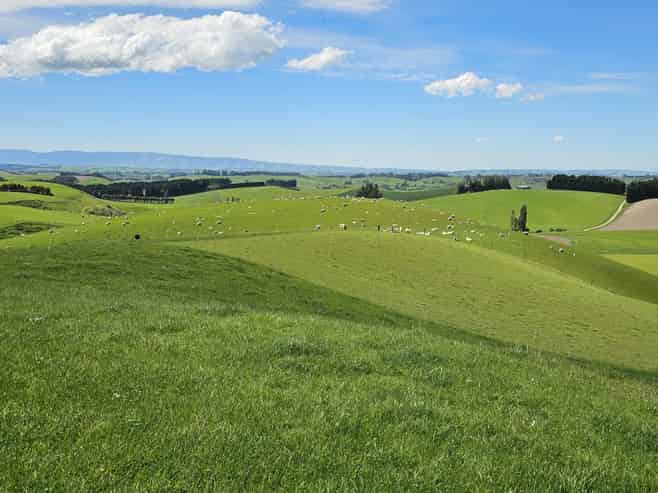 406 Byars Road, Chatton North