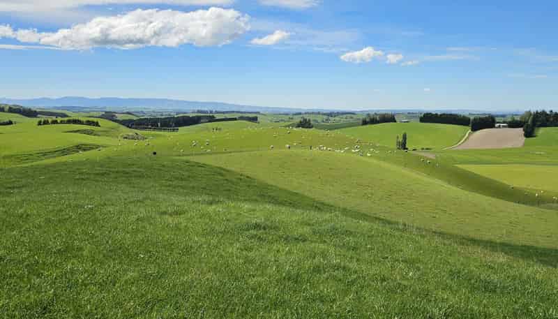 406 Byars Road, Chatton North