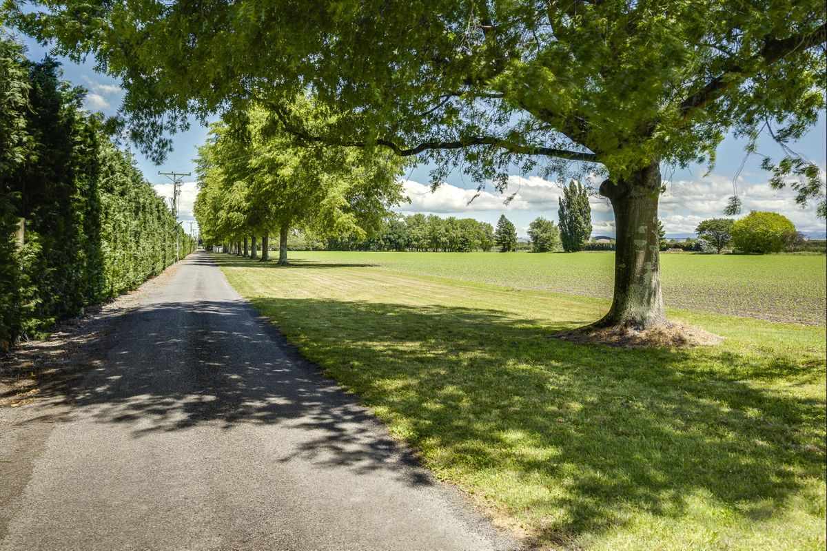 Premium 12ha Lifestyle property - Ansicht 6