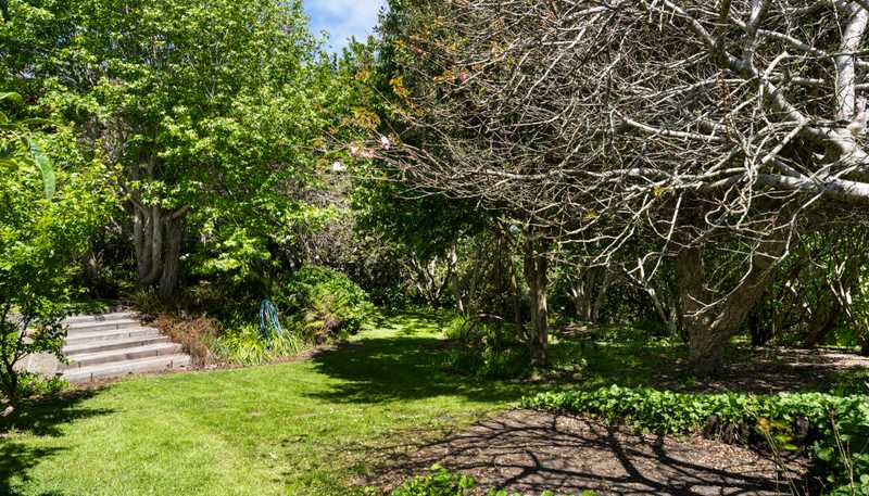 443 Lees Gully Road, Pollok