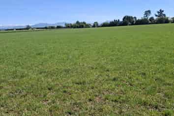 21 Dominion Road, Kerrytown