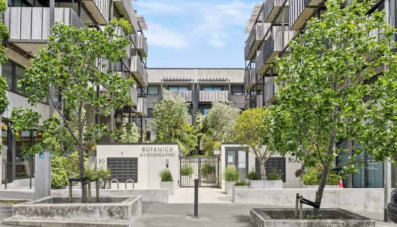 303/30A Enfield Street, Mount Eden