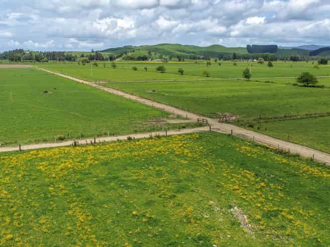 376 State Highway 25, Waitakaruru