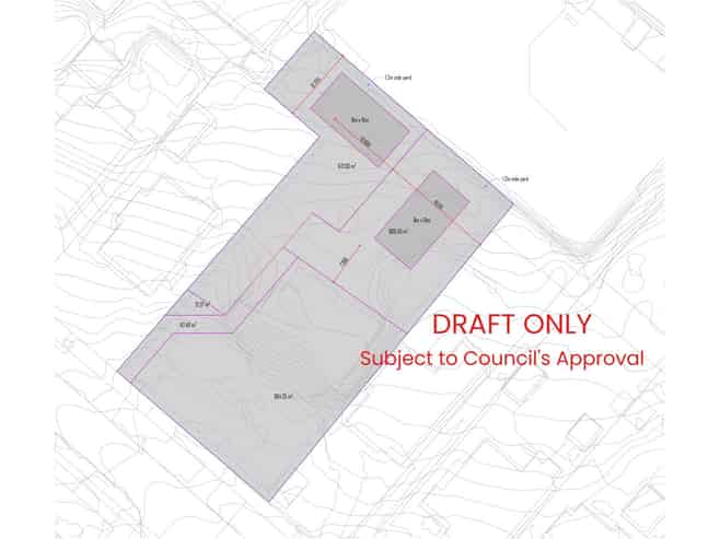 46 Lloyd Avenue, Mount Albert