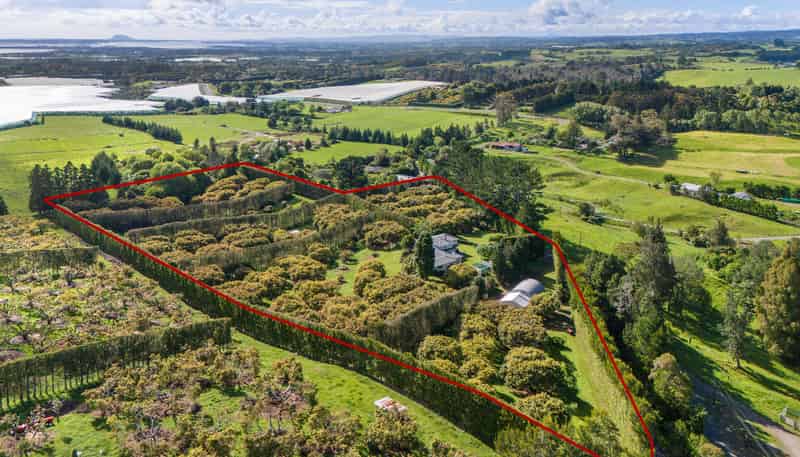 348C Rea Road, Katikati