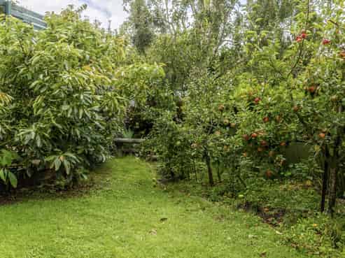 25 Kawatiri Avenue, Gonville