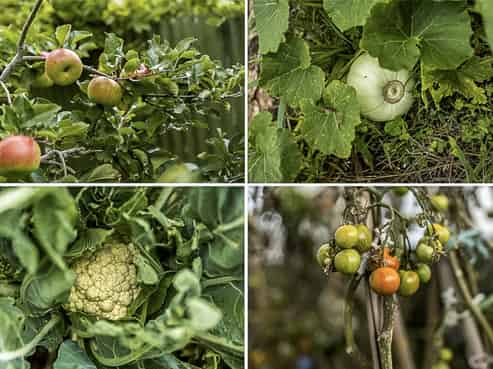 25 Kawatiri Avenue, Gonville