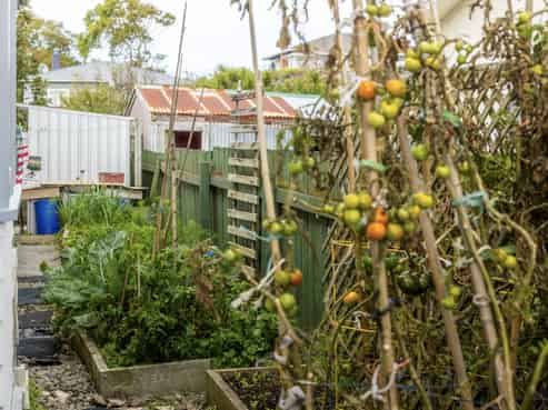 25 Kawatiri Avenue, Gonville