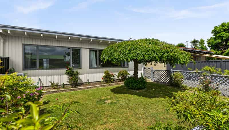 56 Rochester Street, Tamatea