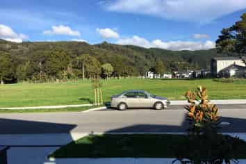 16 Gilruth Road, Wallaceville